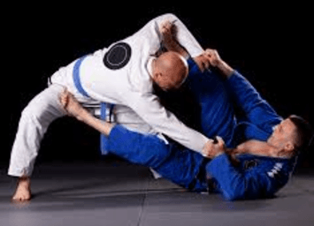 დიდების ბრაზილიური ჯიუ-ჯიცუ (GI/NO GI)